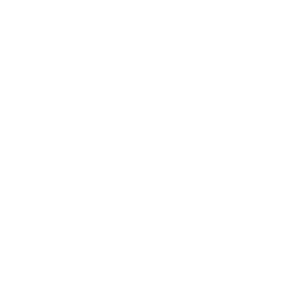 autohaus-hezler-werkstatt-und-service-icon-weiss